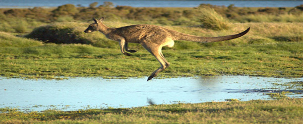 National Parks in Tasmania